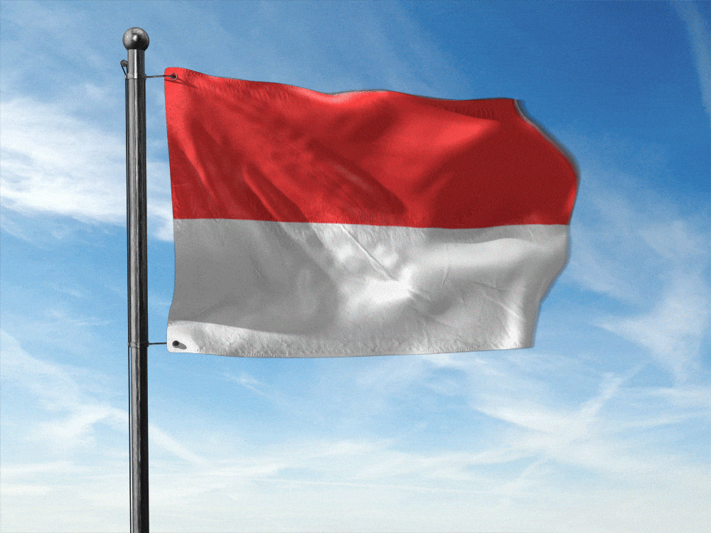 인도네시아 국기 움짤