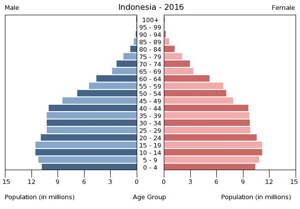 인도네시아 남녀 비율