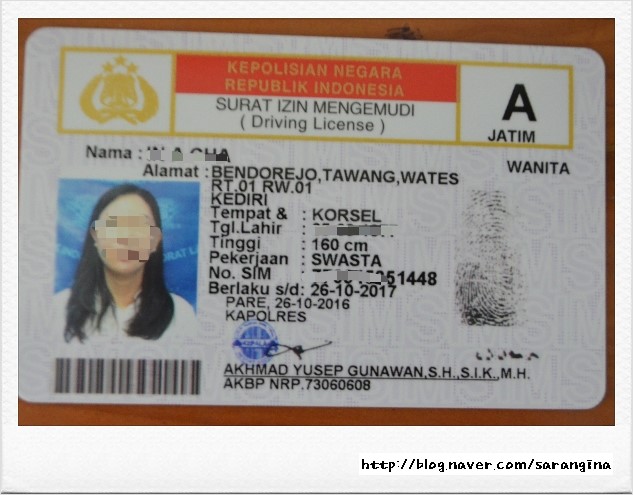 인도네시아 운전면허증