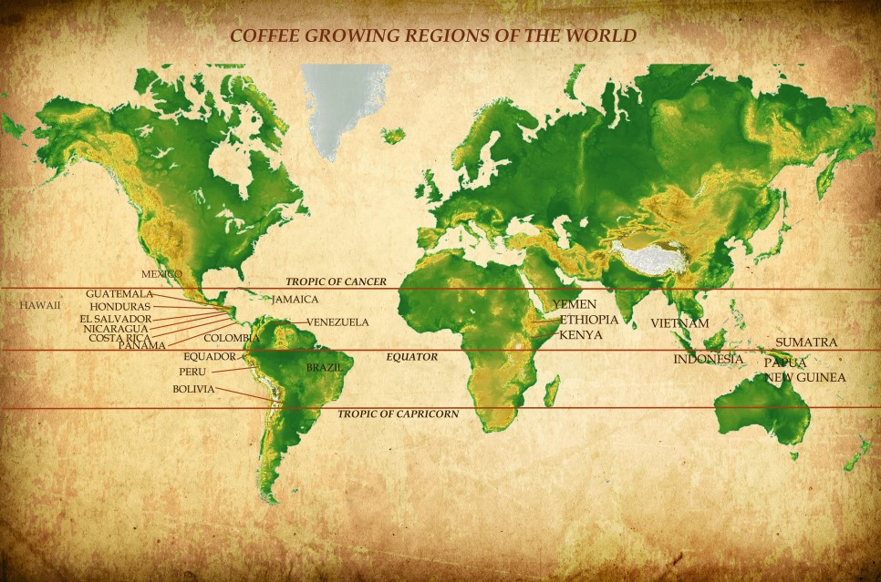coffee growing regions of the world