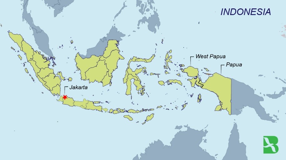 인도네시아와 파푸아 관계