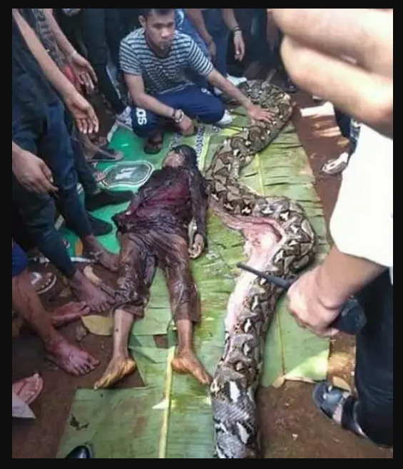 화면_캡처_2026-01-25_202854