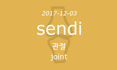 sendi