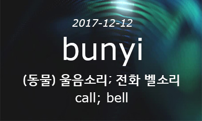 bunyi