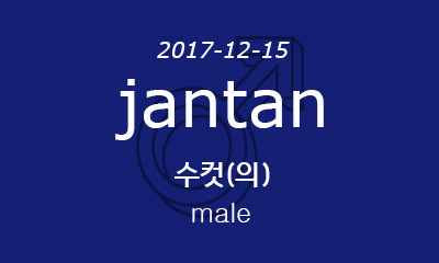 jantan