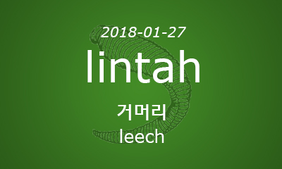 lintah